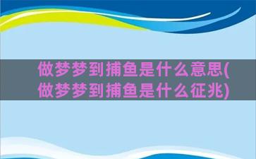 做梦梦到捕鱼是什么意思(做梦梦到捕鱼是什么征兆)