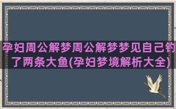 孕妇周公解梦周公解梦梦见自己钓了两条大鱼(孕妇梦境解析大全)