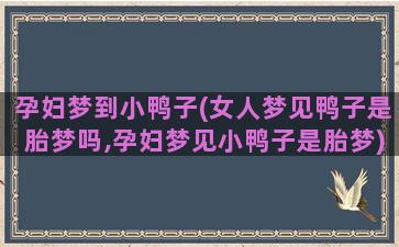 孕妇梦到小鸭子(女人梦见鸭子是胎梦吗,孕妇梦见小鸭子是胎梦)