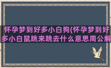 怀孕梦到好多小白狗(怀孕梦到好多小白鼠跳来跳去什么意思周公解梦)