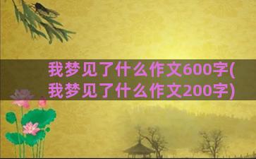 我梦见了什么作文600字(我梦见了什么作文200字)