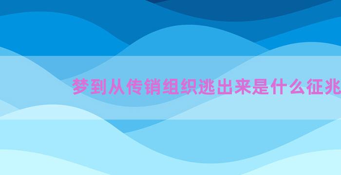 梦到从传销组织逃出来是什么征兆