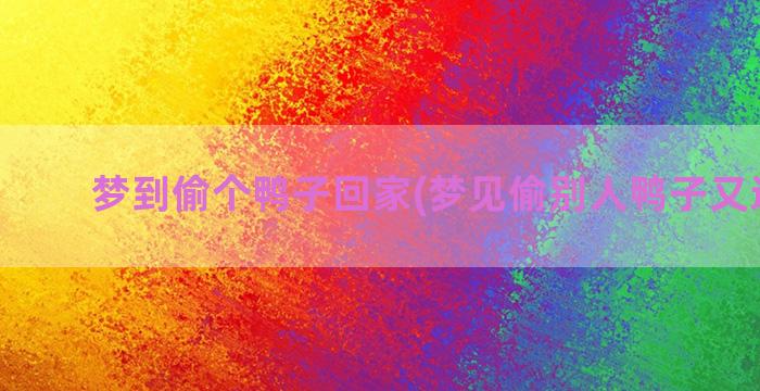 梦到偷个鸭子回家(梦见偷别人鸭子又还回去)