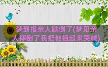 梦到报亲人跌倒了(梦见亲人摔倒了我把他抱起来哭喊)