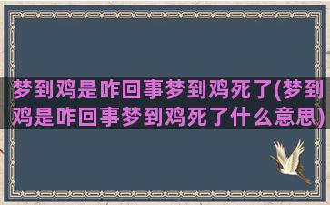 梦到鸡是咋回事梦到鸡死了(梦到鸡是咋回事梦到鸡死了什么意思)