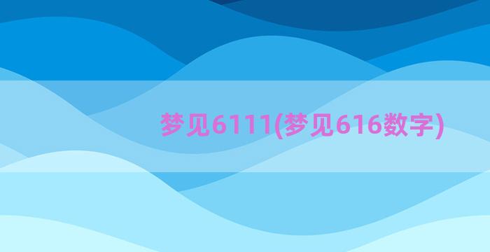 梦见6111(梦见616数字)