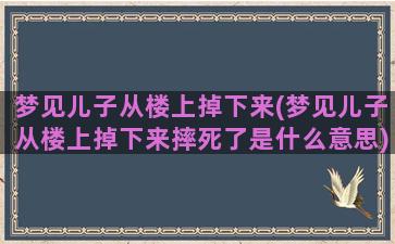 梦见儿子从楼上掉下来(梦见儿子从楼上掉下来摔死了是什么意思)