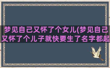 梦见自己又怀了个女儿(梦见自己又怀了个儿子就快要生了名字都起好了)