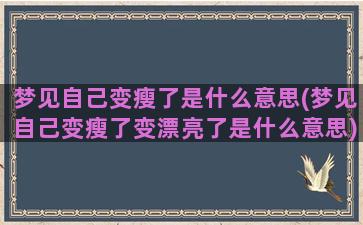 梦见自己变瘦了是什么意思(梦见自己变瘦了变漂亮了是什么意思)