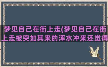 梦见自己在街上走(梦见自己在街上走被突如其来的浑水冲来还觉得下雨)