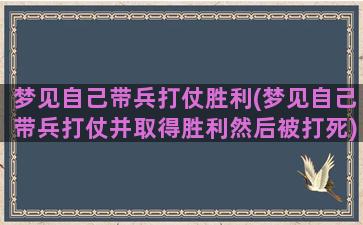 梦见自己带兵打仗胜利(梦见自己带兵打仗并取得胜利然后被打死)