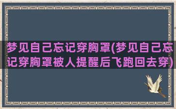 梦见自己忘记穿胸罩(梦见自己忘记穿胸罩被人提醒后飞跑回去穿)