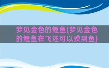 梦见金色的鲤鱼(梦见金色的鲤鱼在飞还可以摸到鱼)