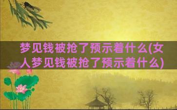 梦见钱被抢了预示着什么(女人梦见钱被抢了预示着什么)